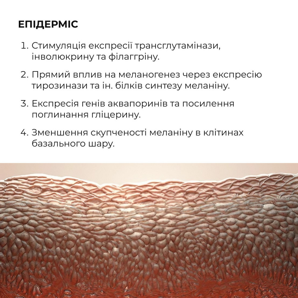 Комплекс ночного восстановления кожи лица с ретинолом и пептидами ReNuAge Nighttime Skin Renewal Complex with Retinol and Киев - изображение 7