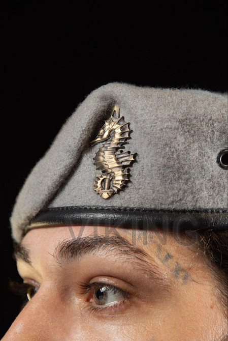 Бере ССО світло-сірий крапля Запорожье - изображение 3