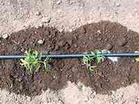 Лента для капельного полива SUPER DRIP TAPE 30см.(2000м) эмитерная(корея) Харьков