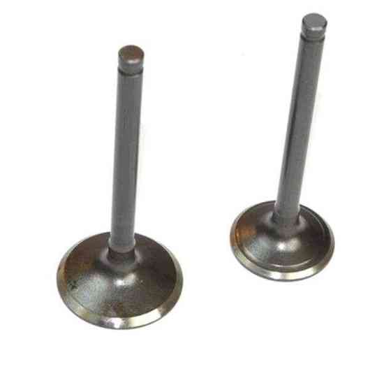 Клапаны (пара, голые) KAYO, IRBIS (D-23/28mm) Мукачево