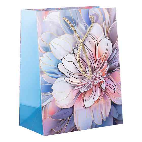 Набір подарункових пакетів з паперу 12 (шт.) гарні картонні пакети для подарунків 18×10×23 (см) HP-10359-8 Коломия