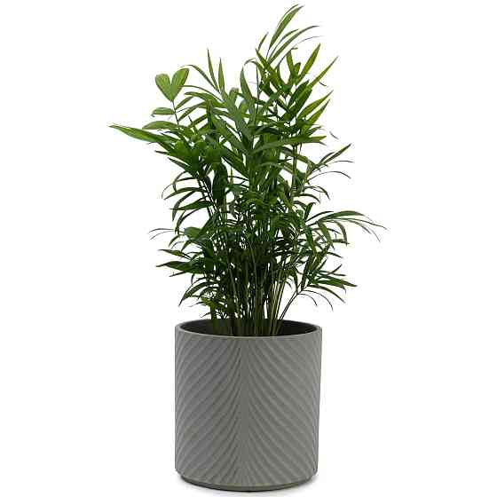 elemi Кашпо для квітів керамічне elemi "Листок" (темно-зелений) 16" круглий 2,3 л Коломыя