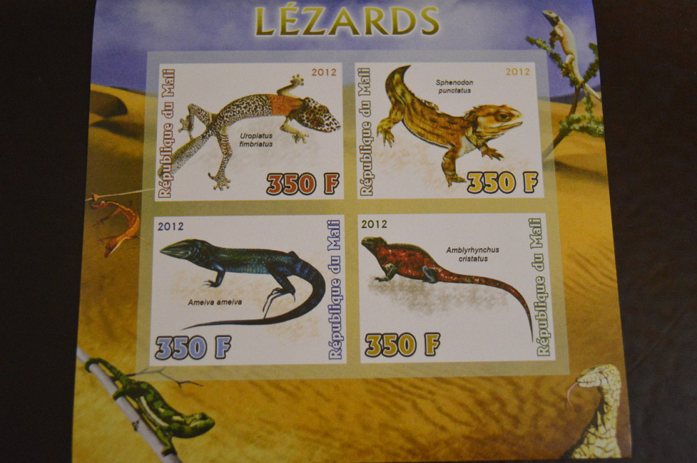 Мали. Фауна. Блок. 2014 год (А-20) Полтава - изображение 1