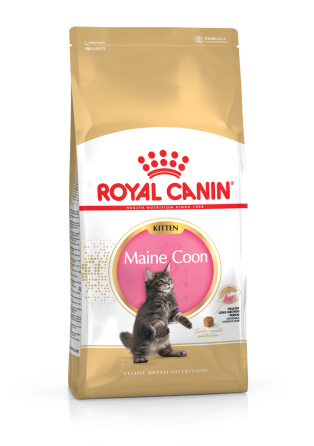 Корм для кошенят породи Мейн-Кун ROYAL CANIN MAINECOON KITTEN 0.4 кг Київ