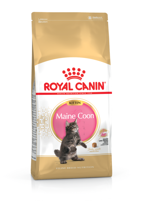 Корм для котят породы Мейн-Кун ROYAL CANIN MAINECOON KITTEN 0.4 кг Киев - изображение 1