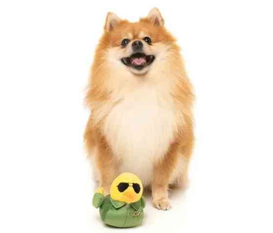 М'яка іграшка для собак FuzzYard Качечка Гус S Луцк