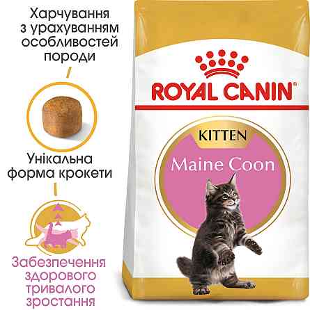 Корм для котят ROYAL CANIN MAINECOON KITTEN 2.0 кг Киев