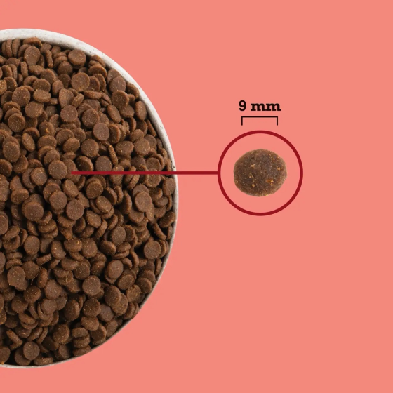 Acana Highest Protein Indoor Cat Recipe (Акана Хайест) сухий корм беззерновий для дорослих домашніх котів 1.8 кг. Запоріжжя