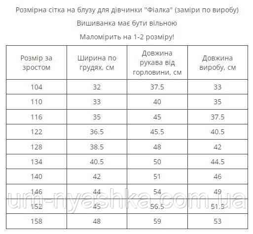 Дитяча вишиванка з синьою вишивкою Фіалка Кривий Ріг