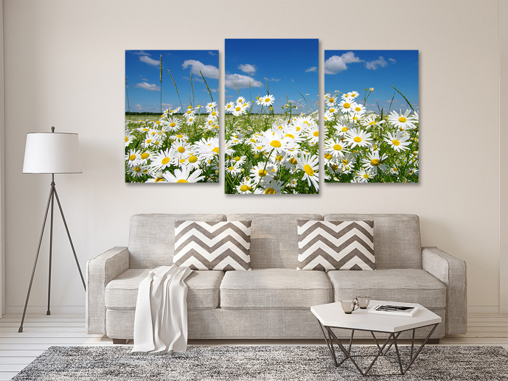 Модульная картина в гостиную / спальню Ромашкове поле  Art-526_3 Киев - изображение 2