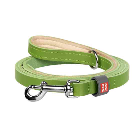 Повідець для котів та дрібних собак шкіряний WAUDOG Classic, XXS-XS, Ш 12 мм, Дов 122 см салато Коломыя