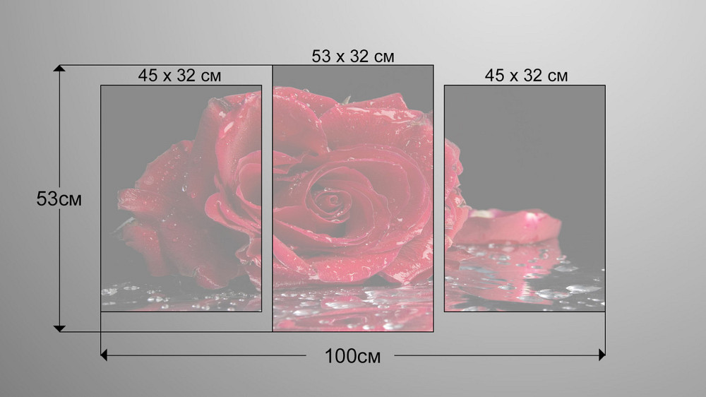Модульна картина Квіти Троянда Art-101_3 Київ - фото 3