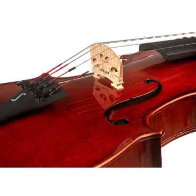 Скрипка Stentor Conservatoire Violin Outfit 3/4 (1550C) Вінниця