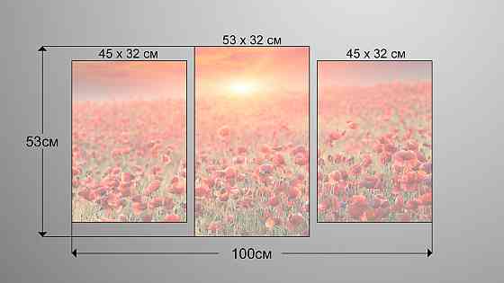 Модульная картина Природа Маки 2 Art-65_3 Киев