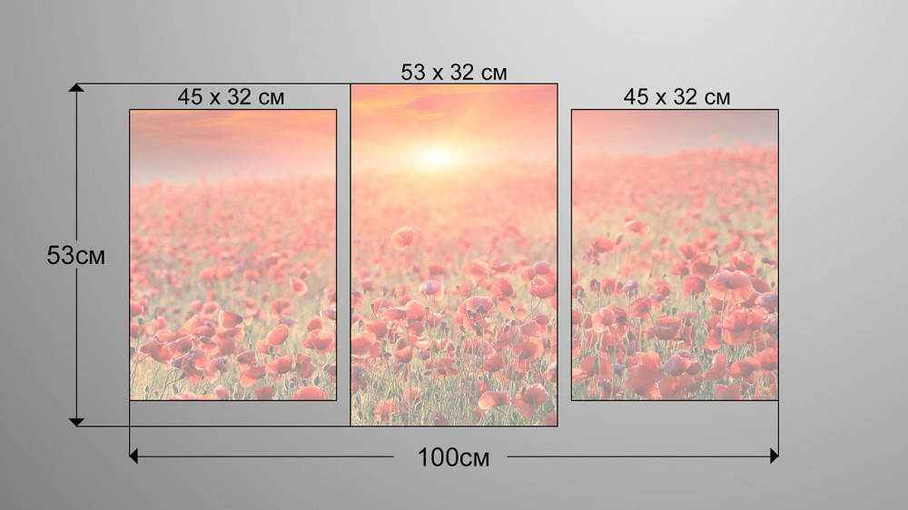 Модульная картина Природа Маки 2 Art-65_3 Киев - изображение 3