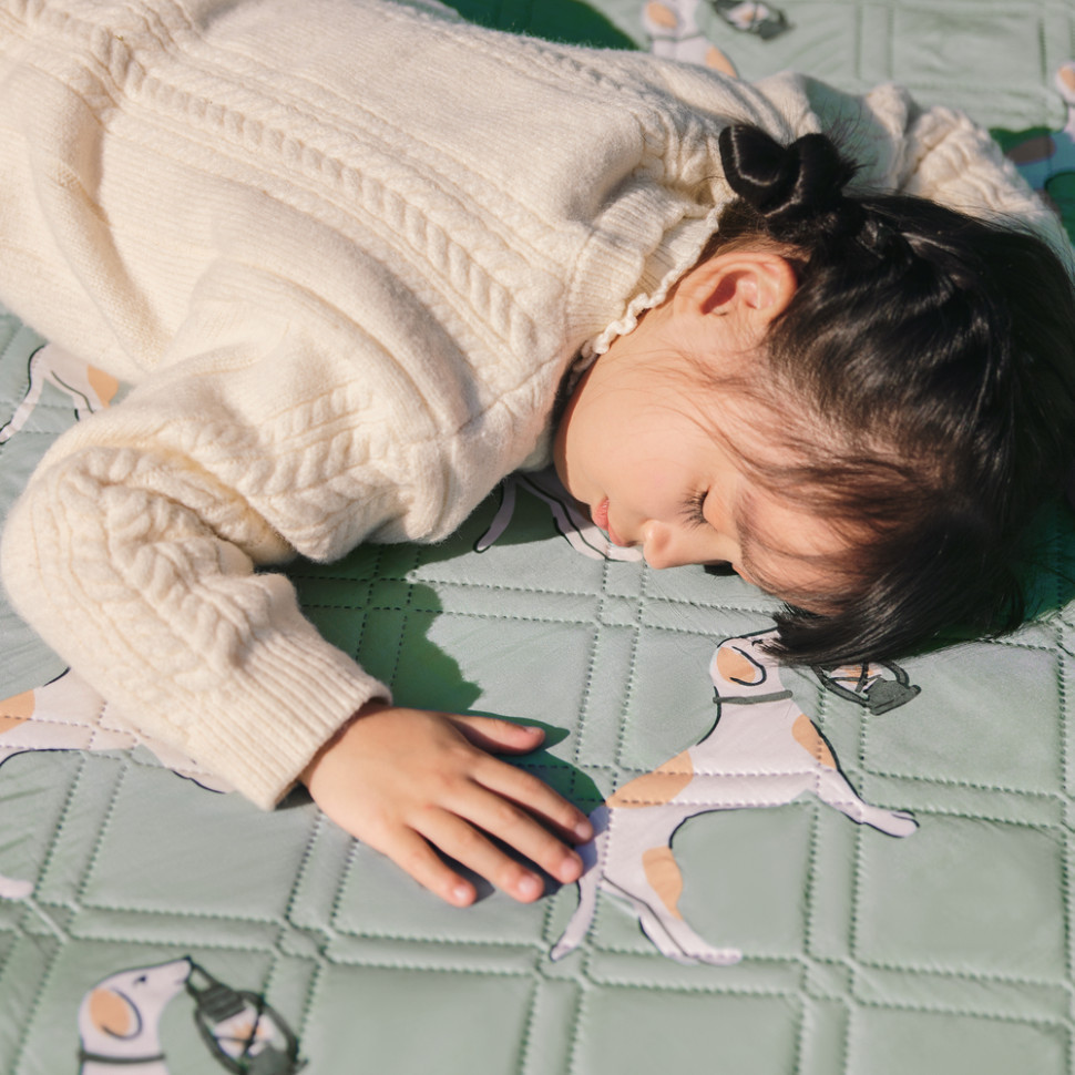 Килимок для пікніка Naturehike CNK2350WS010 210*240 см, блакитний із принтом Київ - фото 10