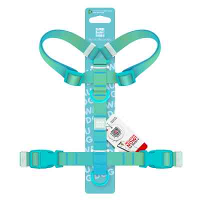 Шлея для собак WAUDOG Nylon Recycled анатомічна H-подібна з QR-паспортом, пластиковий фастекс, М блакитна (47522) Вінниця