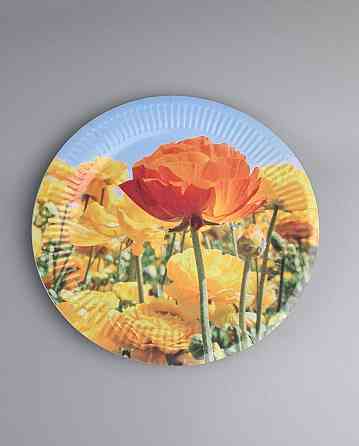 Тарілка паперова 23 см "No58 10 шт (1 пачка) Харків