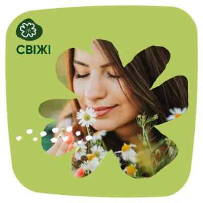 Ежедневные прокладки Naturella Сamomile Light Multiform 100 шт. (8001090603760) Винница