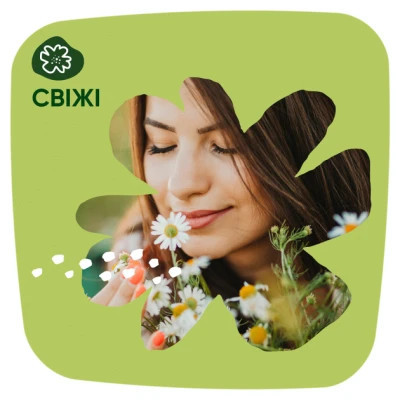 Щоденні прокладки Naturella Сamomile Light Multiform 100 шт. (8001090603760) Вінниця - фото 6