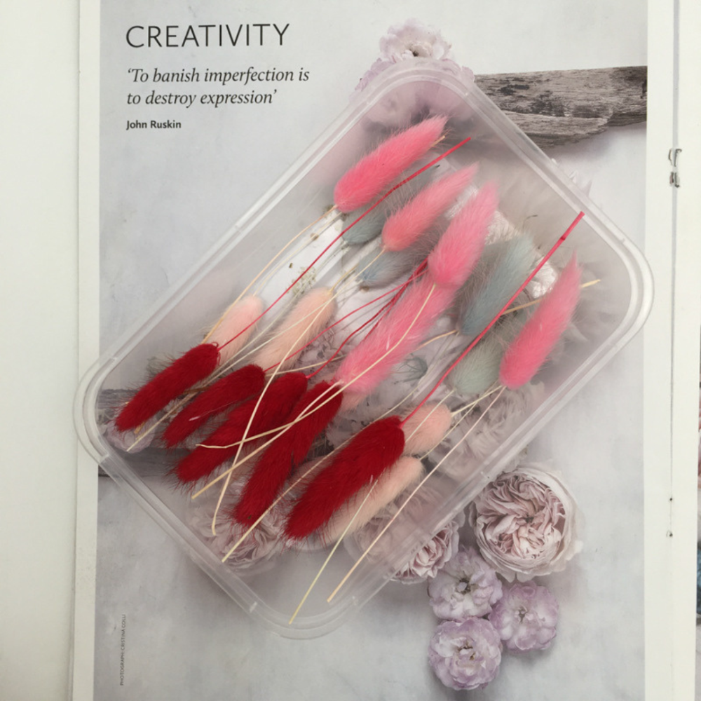 Стабилизированные ветки и цветы для мини-сада, микроландшафта, цветочных композиций, флорариума Одесса - изображение 1