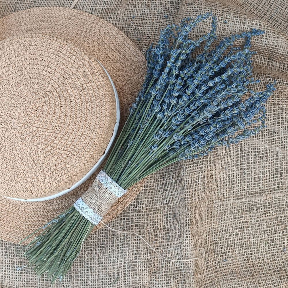 Букет Лавандина, сухоцвет с насыщенным ароматом для декора и подарка Ирпень - изображение 1