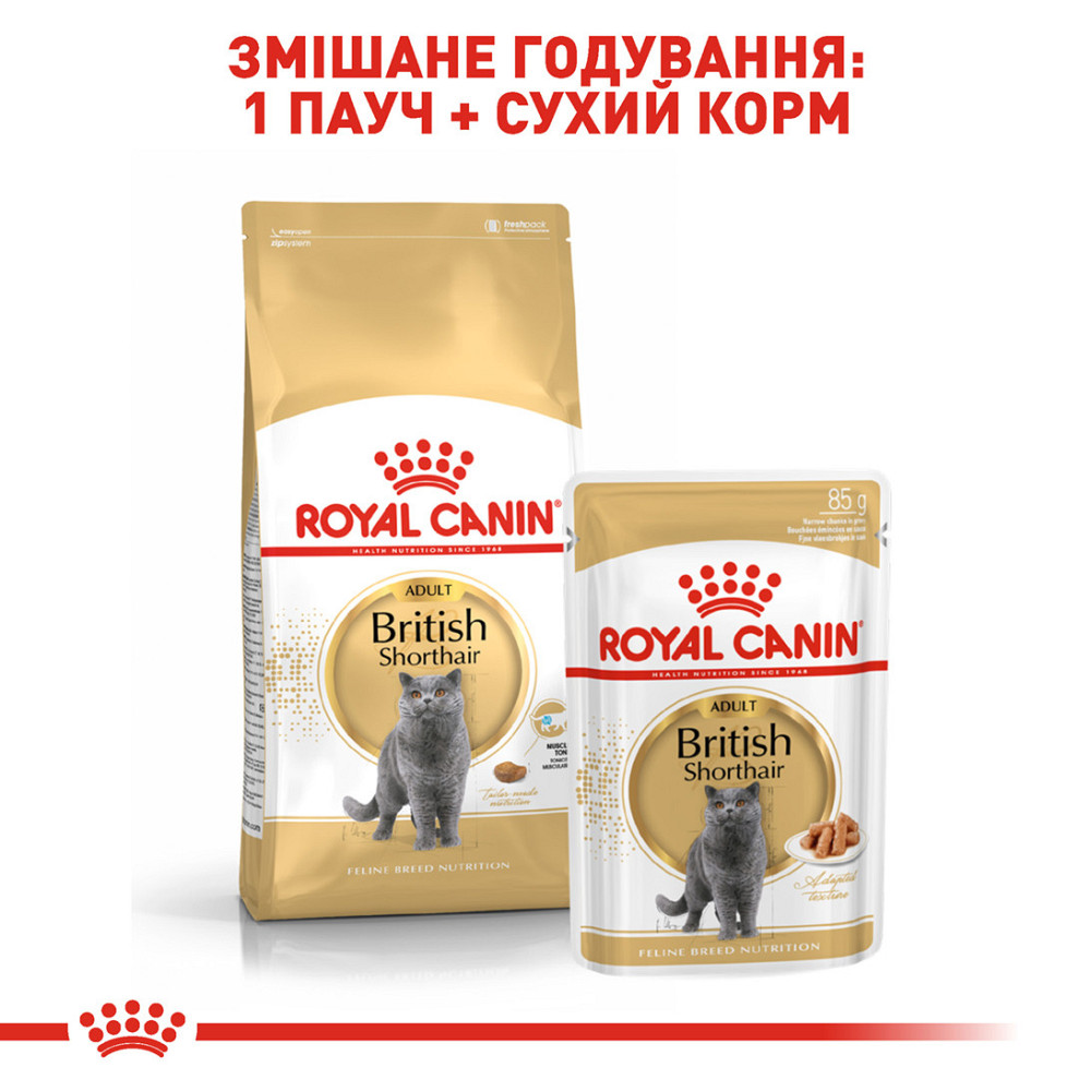 Корм для дорослих котів ROYAL CANIN BRITISH SHORTHAIR ADULT 4.0 кг Київ - фото 6