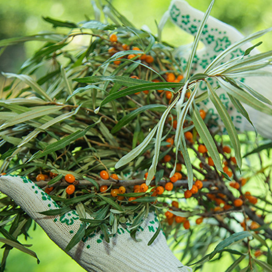 Рукавички 620 трикотаж з малюнком ПВХ клас 10 білий ДКГ Житомир - фото 4