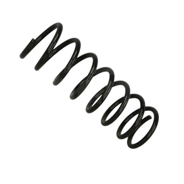 Пружина Ford Focus C-Max 1.6-2.0i, D 03- задняя Мукачево - изображение 1