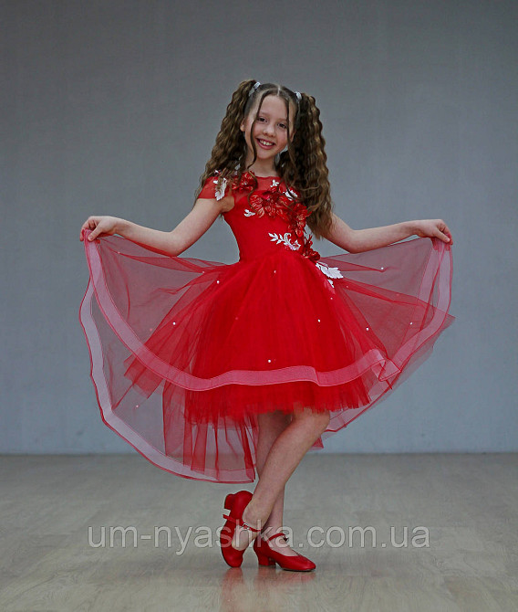 Детское нарядное платье удлиненное сзади 116-134 Кривой Рог - изображение 6