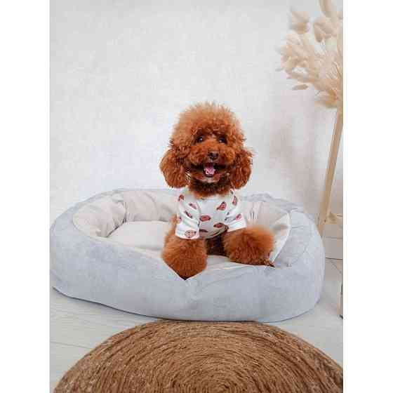 Лежак для собак и кошек Incor Donut серый Київ