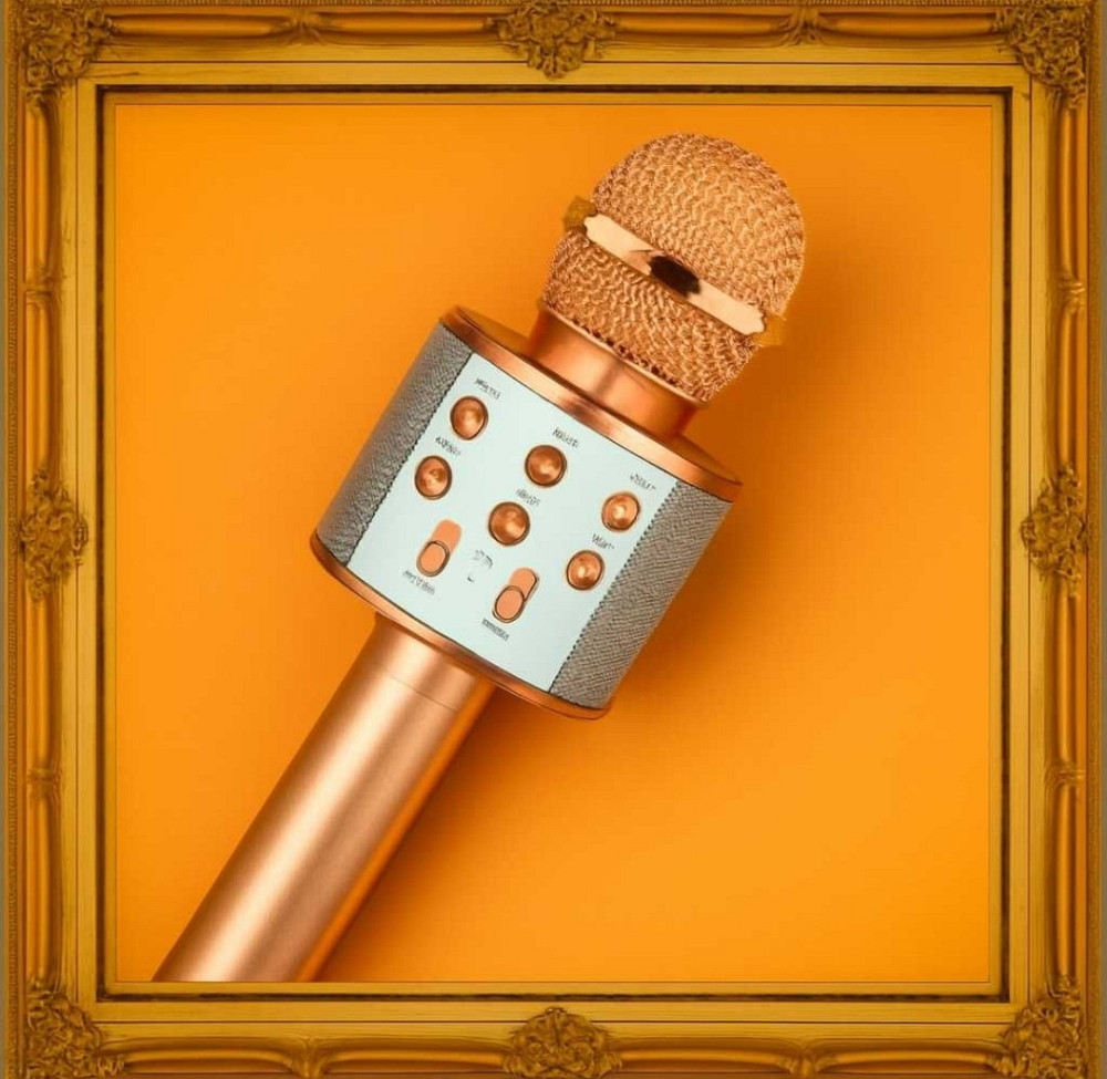 Беспроводной микрофон караоке bluetooth W-858 Микрофон Беспорный. Харьков - изображение 4