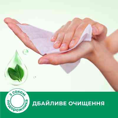 Влажные салфетки Smile Antibacterial С соком подорожника 8 шт. (4823071662405) Винница