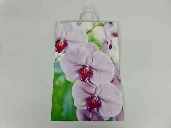 Пакет бумажный гигант вертиркальный (30х42х12)(артGV-078) (12 шт) Харьков