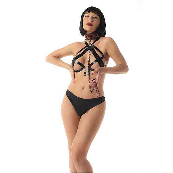 Нашийник Fantasy зі повідцем Collar with detachable leash Sex Aura Київ