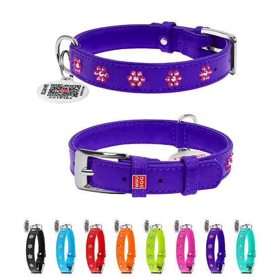 Нашийник для собак шкіряний WAUDOG Glamour з QR паспортом, з клейовими стразами "Квіти", Ш 20 м Коломыя