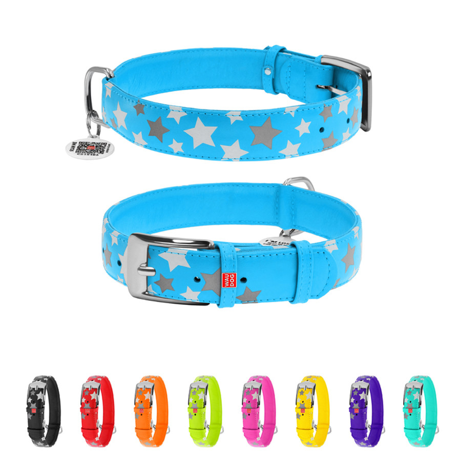 Нашийник для собак шкіряний WAUDOG Glamour з QR паспортом, візерунок "Зірочка", світлонакопичув Коломыя - изображение 1