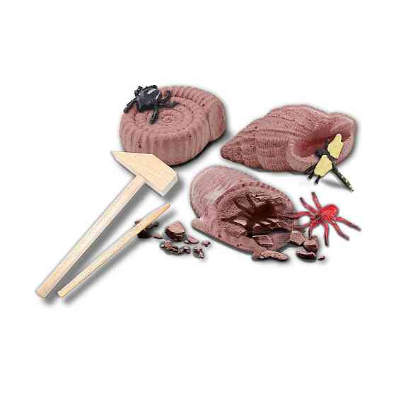 Набір серії Дослідник - Розкопки скам'янілих комах Дніпро