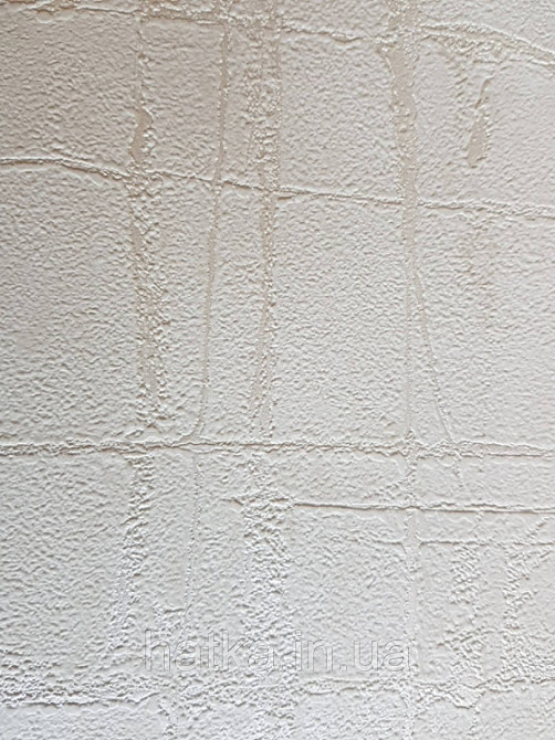 Обои Marburg Tango 58811 лофт 3д под штукатурку молочные с серебром 10х0,70 Киев - изображение 2