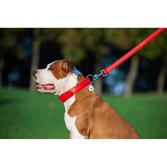 Повідець для собак шкіряний WAUDOG Glamour, Ш 25 мм, Дов 122 см червоний Коломия