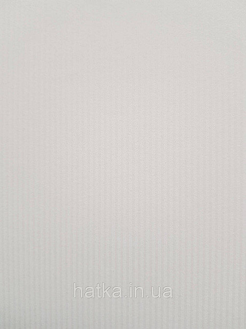 Шпалери флізелінові еко Rasch Sophia 0.53х10 смужки тонкі білі світло-бежеві Київ - фото 1