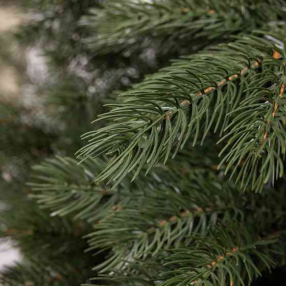 Сосна Альпійська штучна 2.1 м зелена Преміум Київ