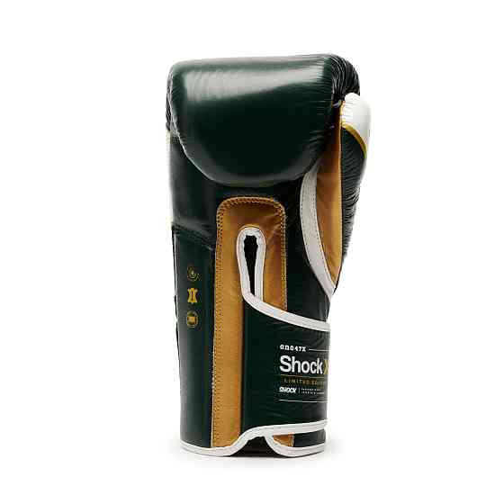 Боксерські рукавички Leone Shock X Green 16 ун. Кам'янське