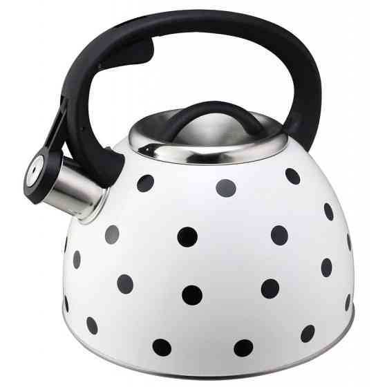 Чайник со свистком UNIQUE UN-5301 2.50 л Киев
