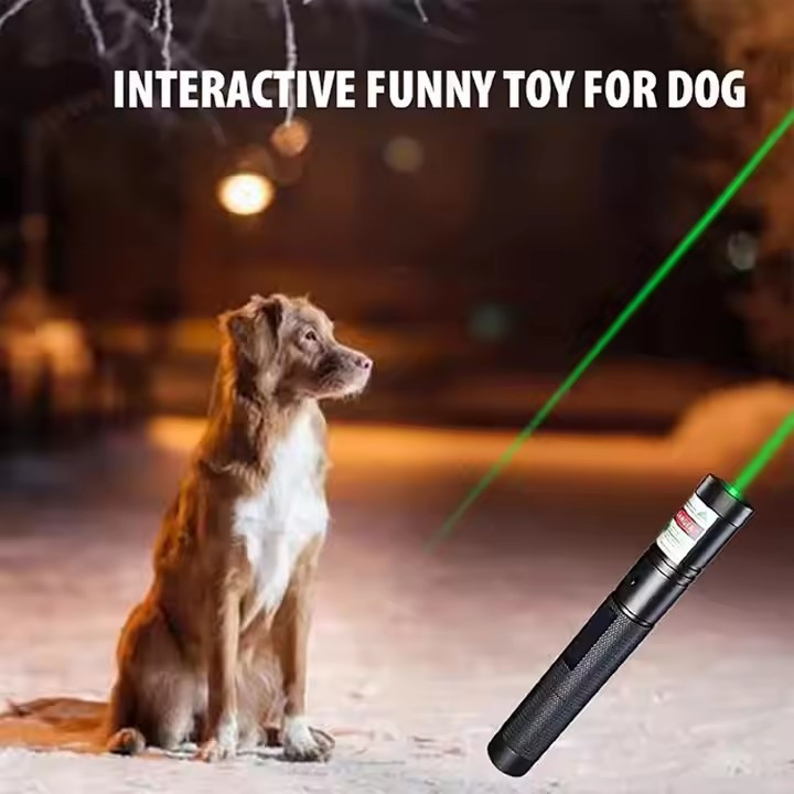 Зелений лазер для презентацій та шоу з насадкою Київ - фото 14