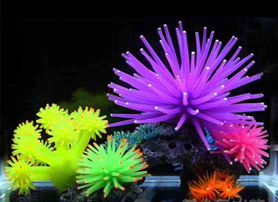 Декор для акваріума помаранчевий "Морський їжак" - діаметр 7см, силікон, безпечний для риб і креветок) Київ