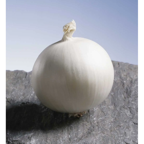 Цибуля Гледстоун біла 200шт Професійне насіння Житомир - фото 3