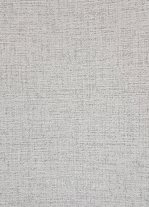 Шпалери вініл на флізеліні гарячого тиснення DU&KA Natura1.06х10 під тканину дрібна сітка світло-сірі з глянцем Київ - фото 2