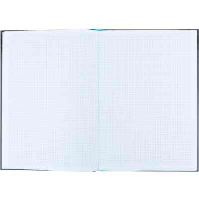 Канцелярська книга Axent Colors А4, 80 аркушів, клітинка, блакитна (8421-05-A) Вінниця