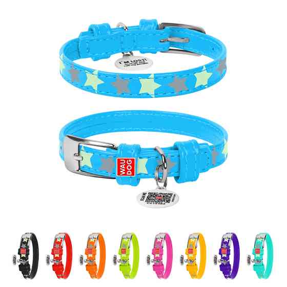 Нашийник для собак шкіряний WAUDOG Glamour з QR паспортом, візерунок "Зірочка", світлонакопичув Коломыя